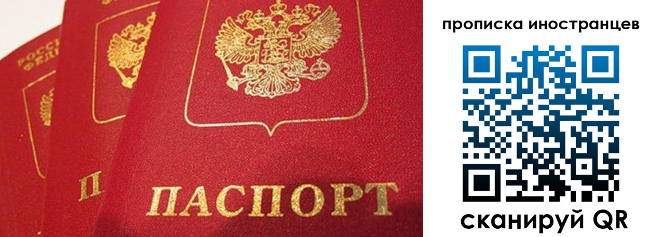 прописка поиск в Амурске